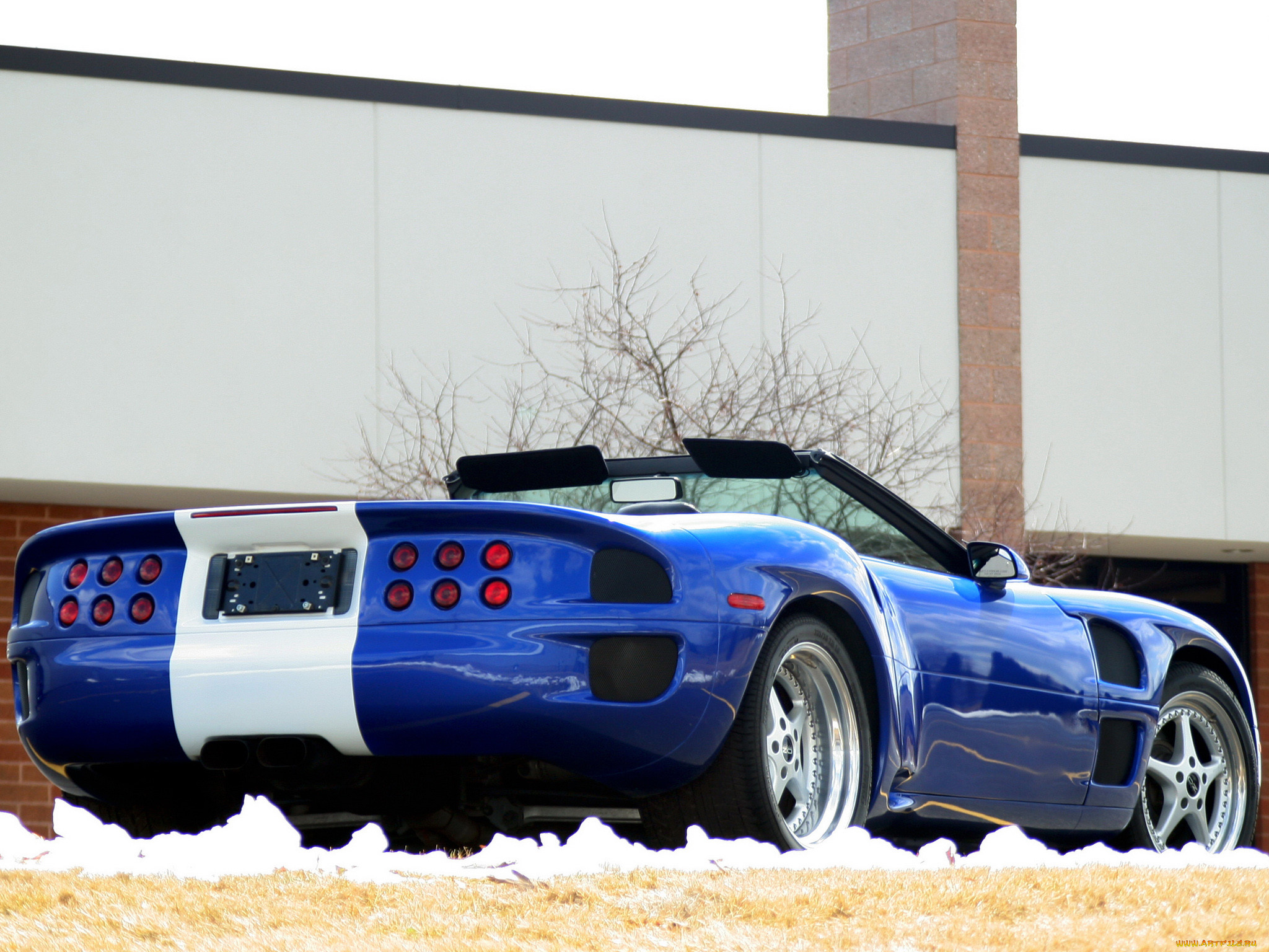 corvette, guldstrand, nassau, roadster, , chevrole